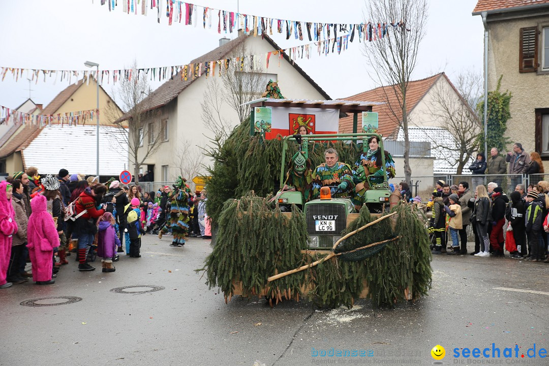 Fasnachtsumzug und Narrentage: Welschingen, 24.01.2016