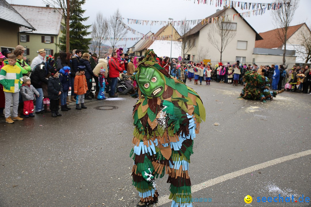 Fasnachtsumzug und Narrentage: Welschingen, 24.01.2016