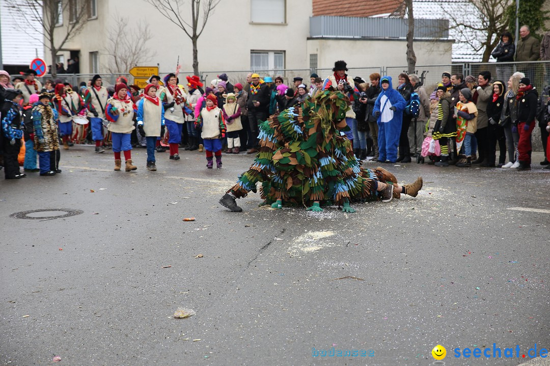 Fasnachtsumzug und Narrentage: Welschingen, 24.01.2016