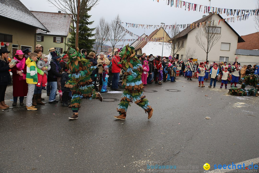 Fasnachtsumzug und Narrentage: Welschingen, 24.01.2016