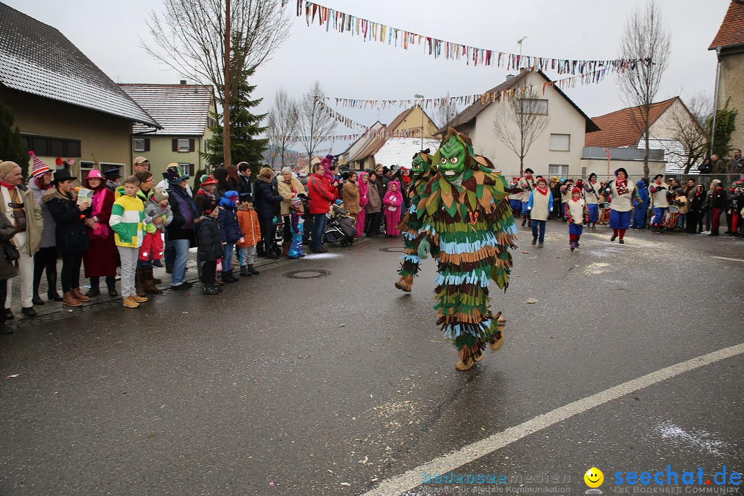 Fasnachtsumzug und Narrentage: Welschingen, 24.01.2016