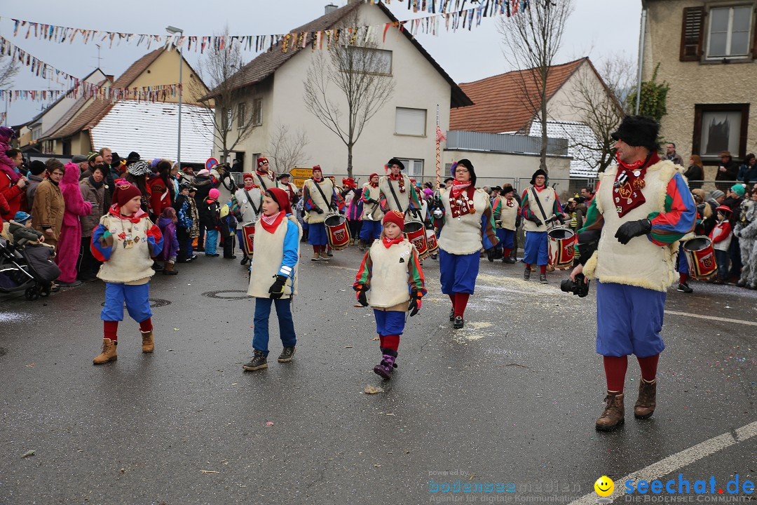 Fasnachtsumzug und Narrentage: Welschingen, 24.01.2016