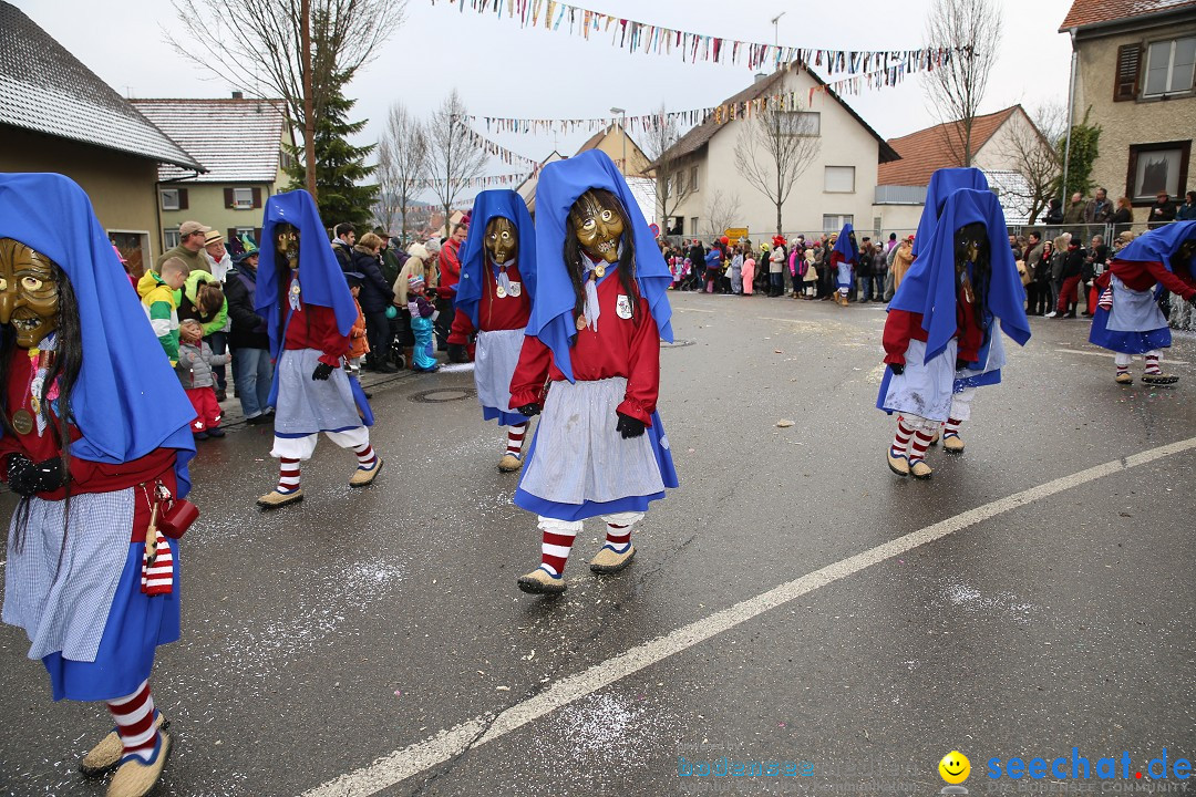 Fasnachtsumzug und Narrentage: Welschingen, 24.01.2016