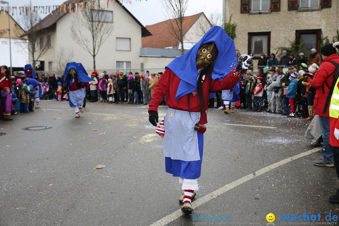 Fasnachtsumzug und Narrentage: Welschingen, 24.01.2016