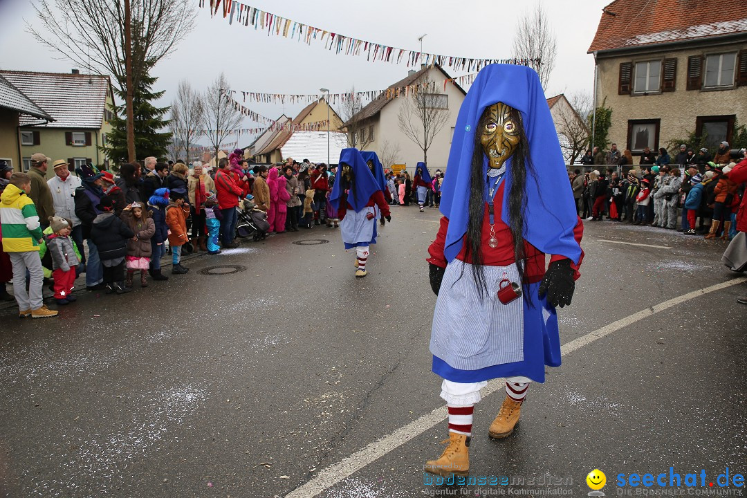 Fasnachtsumzug und Narrentage: Welschingen, 24.01.2016