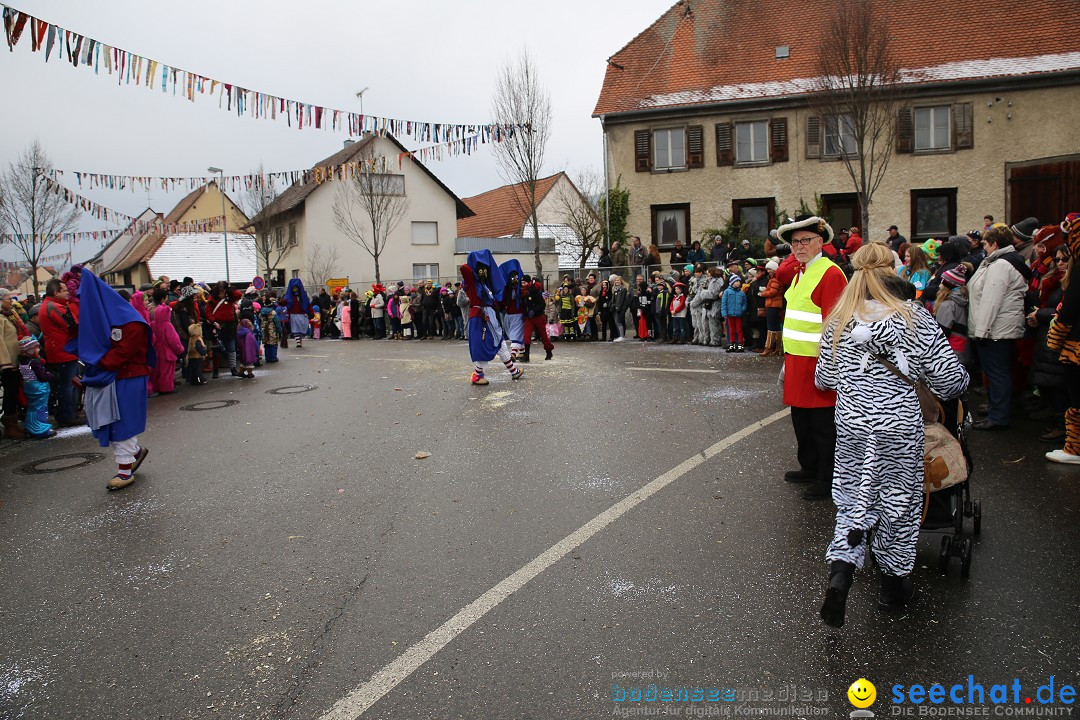 Fasnachtsumzug und Narrentage: Welschingen, 24.01.2016