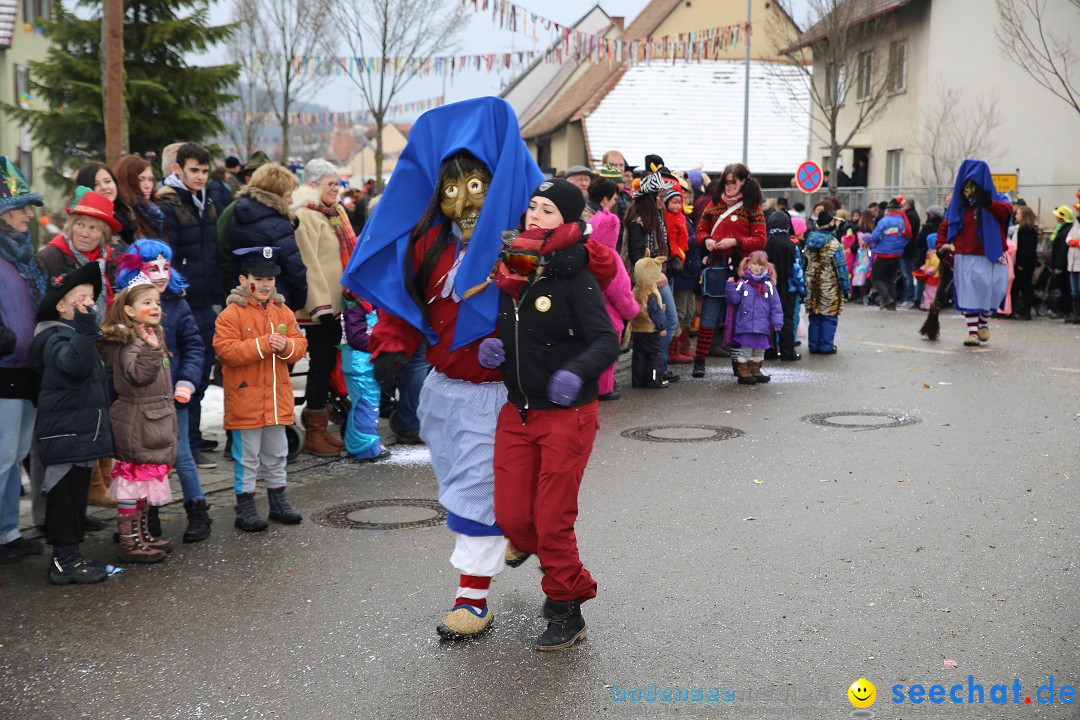 Fasnachtsumzug und Narrentage: Welschingen, 24.01.2016