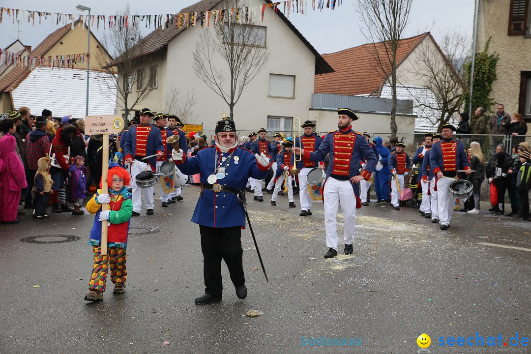 Fasnachtsumzug und Narrentage: Welschingen, 24.01.2016