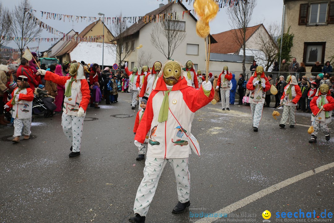 Fasnachtsumzug und Narrentage: Welschingen, 24.01.2016