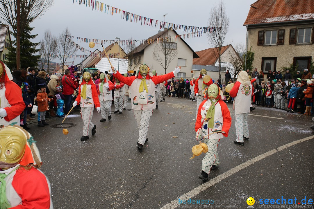 Fasnachtsumzug und Narrentage: Welschingen, 24.01.2016