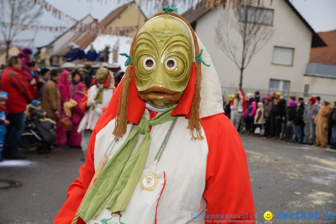 Fasnachtsumzug und Narrentage: Welschingen, 24.01.2016