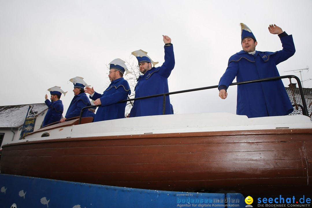 Fasnachtsumzug und Narrentage: Welschingen, 24.01.2016