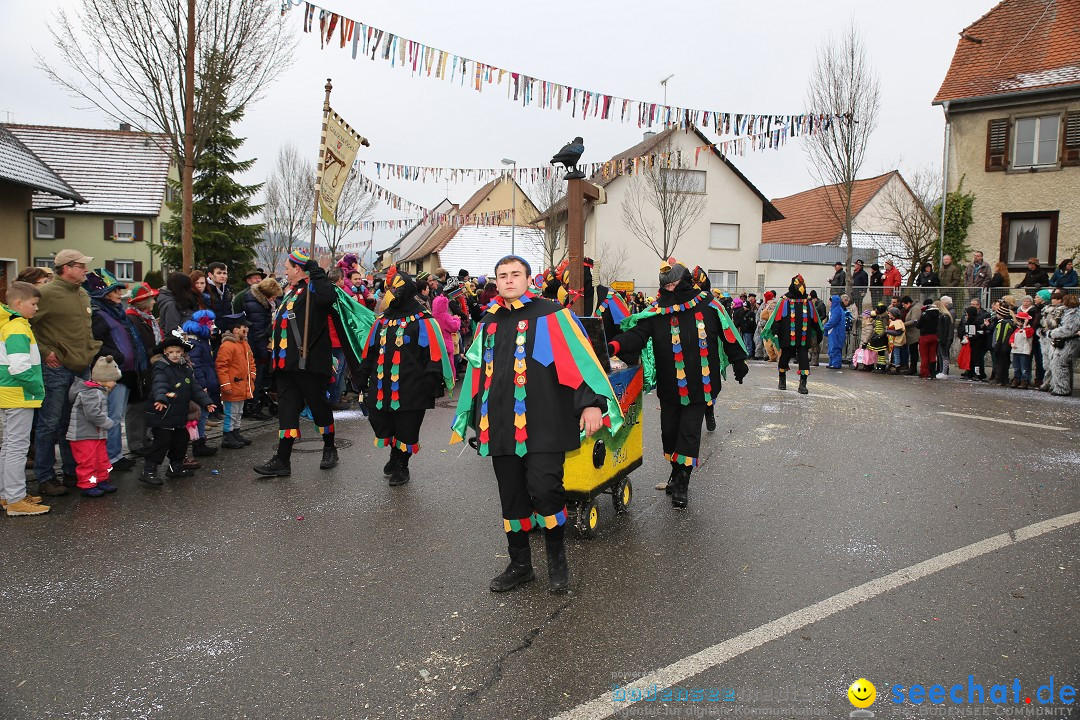 Fasnachtsumzug und Narrentage: Welschingen, 24.01.2016