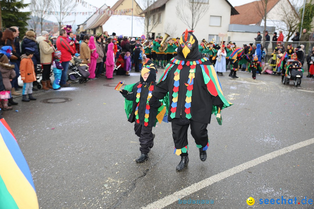 Fasnachtsumzug und Narrentage: Welschingen, 24.01.2016