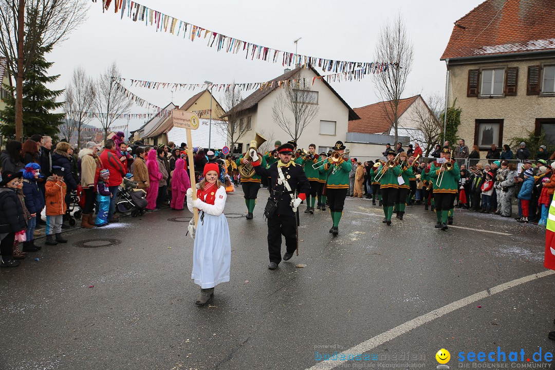 Fasnachtsumzug und Narrentage: Welschingen, 24.01.2016