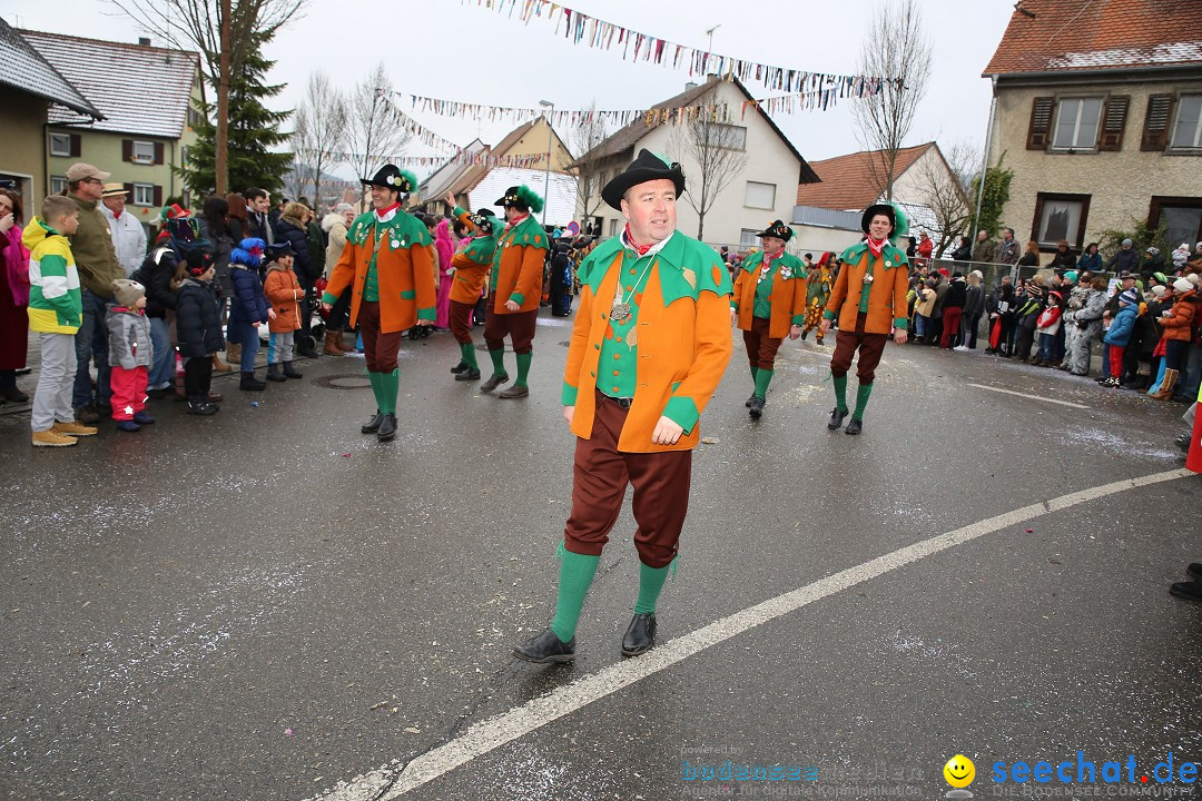 Fasnachtsumzug und Narrentage: Welschingen, 24.01.2016