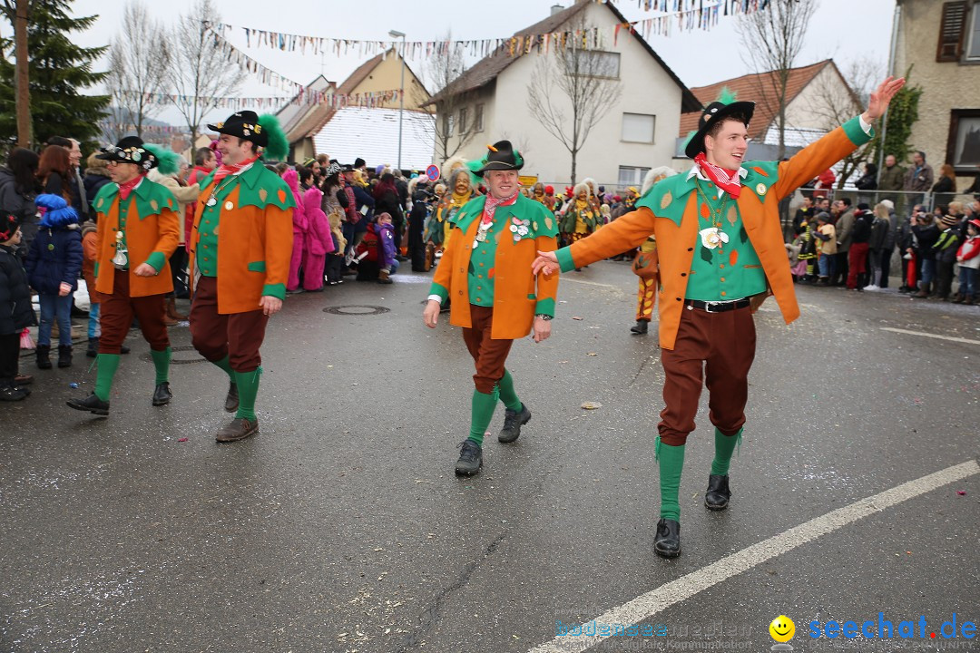 Fasnachtsumzug und Narrentage: Welschingen, 24.01.2016