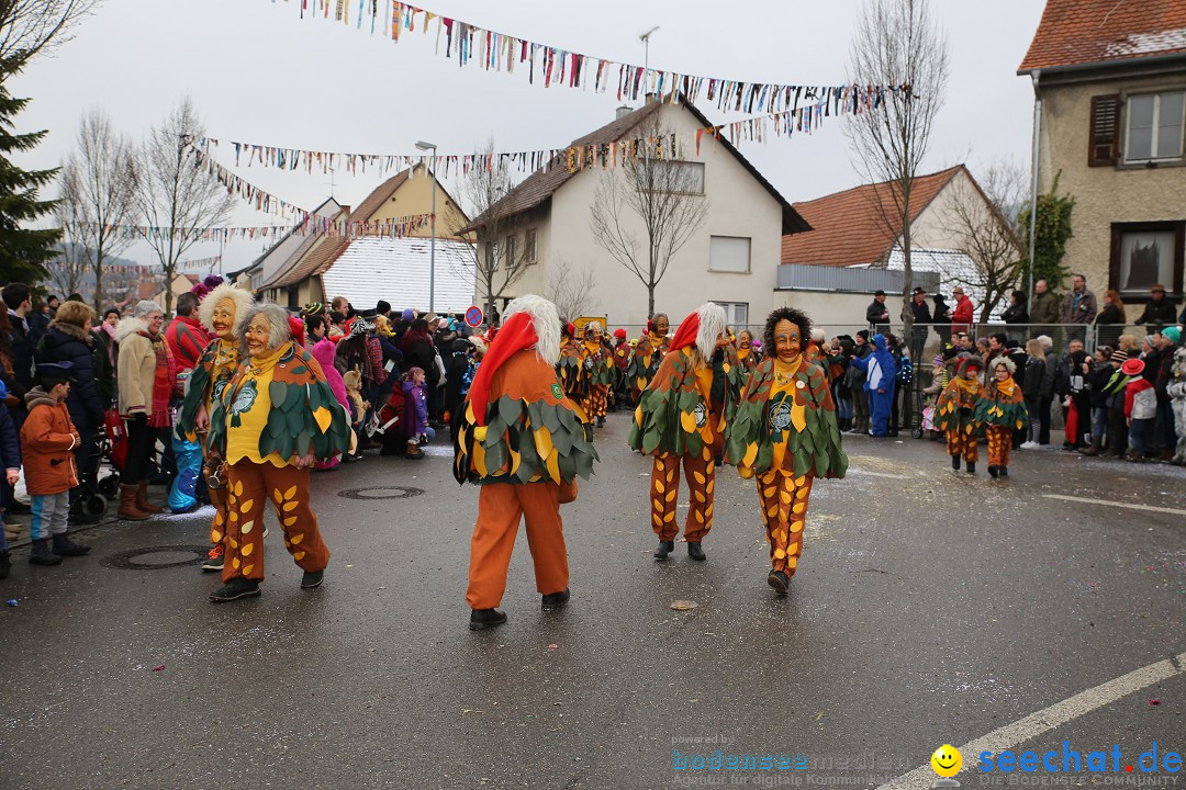 Fasnachtsumzug und Narrentage: Welschingen, 24.01.2016