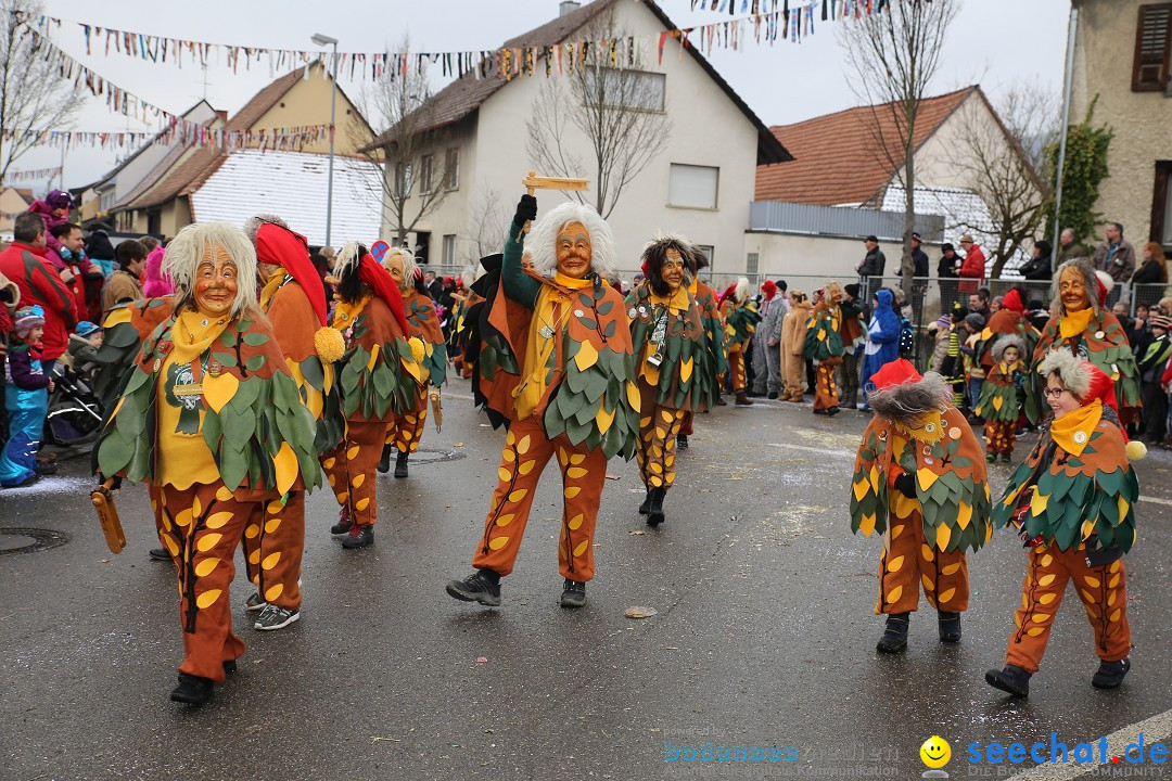 Fasnachtsumzug und Narrentage: Welschingen, 24.01.2016