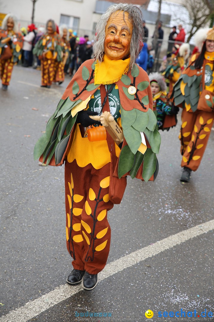 Fasnachtsumzug und Narrentage: Welschingen, 24.01.2016