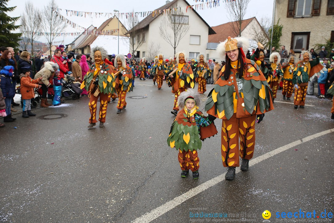 Fasnachtsumzug und Narrentage: Welschingen, 24.01.2016