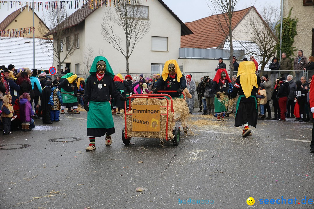 Fasnachtsumzug und Narrentage: Welschingen, 24.01.2016