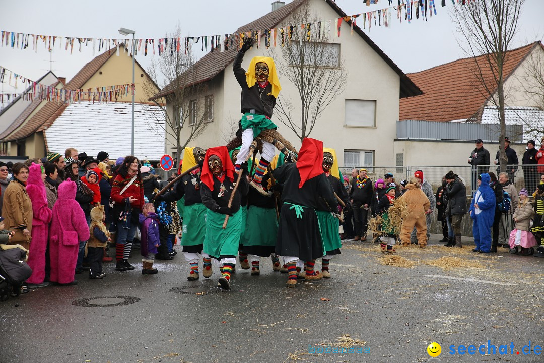 Fasnachtsumzug und Narrentage: Welschingen, 24.01.2016