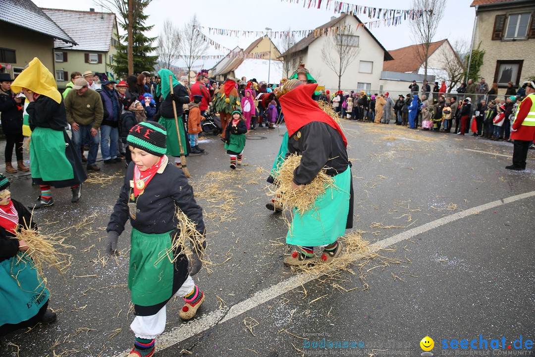 Fasnachtsumzug und Narrentage: Welschingen, 24.01.2016