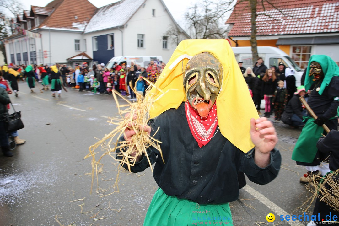 Fasnachtsumzug und Narrentage: Welschingen, 24.01.2016