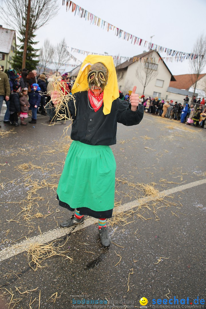 Fasnachtsumzug und Narrentage: Welschingen, 24.01.2016