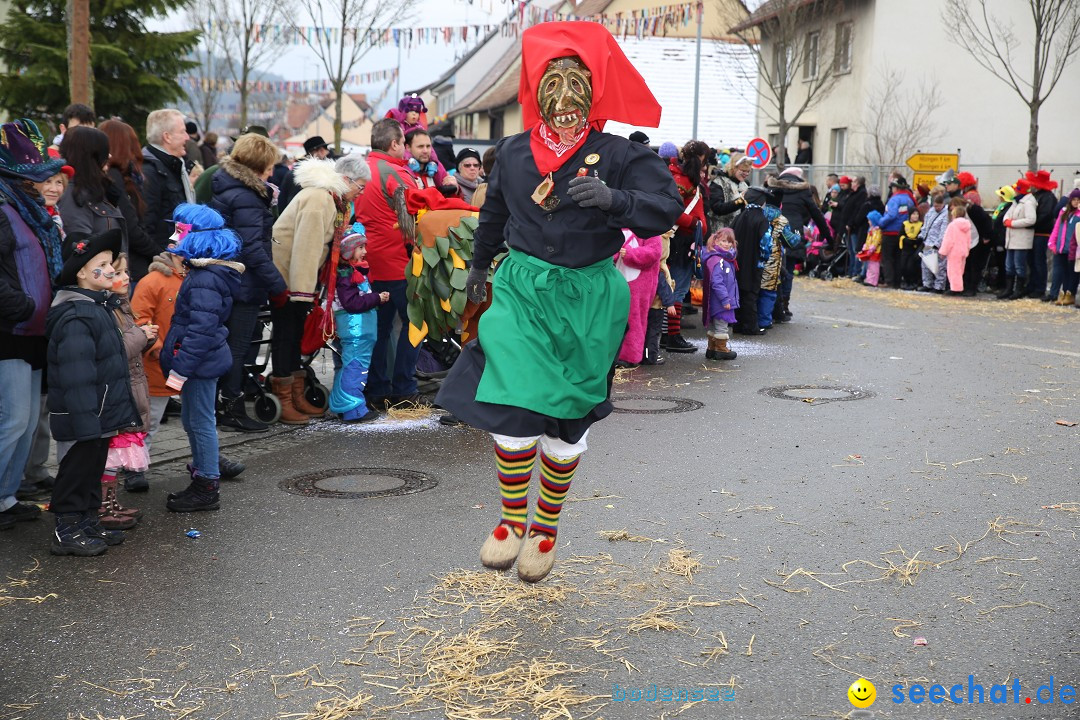 Fasnachtsumzug und Narrentage: Welschingen, 24.01.2016