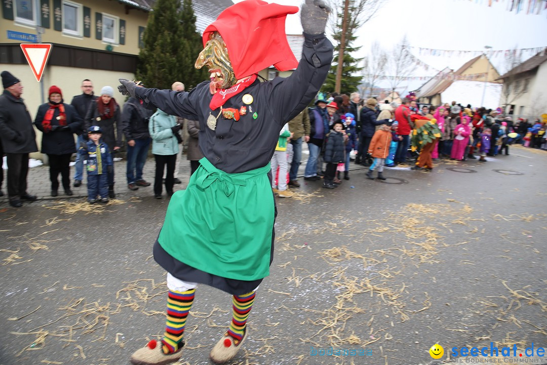 Fasnachtsumzug und Narrentage: Welschingen, 24.01.2016