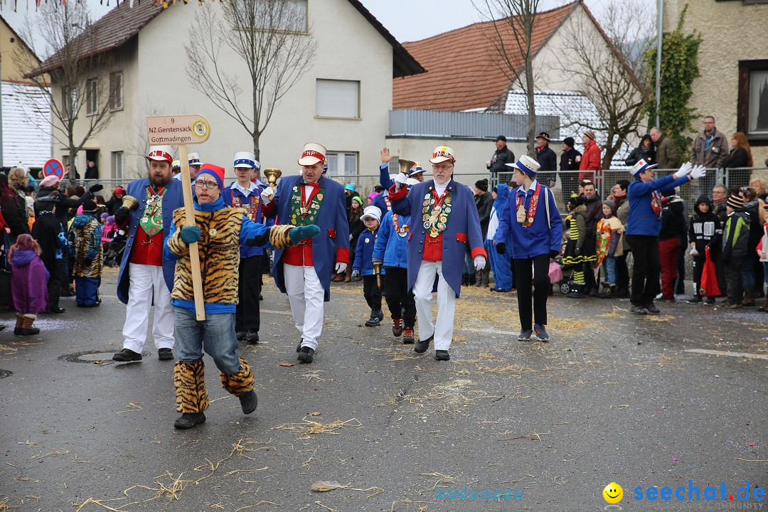 Fasnachtsumzug und Narrentage: Welschingen, 24.01.2016