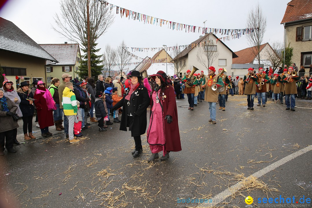 Fasnachtsumzug und Narrentage: Welschingen, 24.01.2016