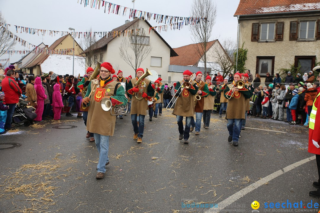 Fasnachtsumzug und Narrentage: Welschingen, 24.01.2016