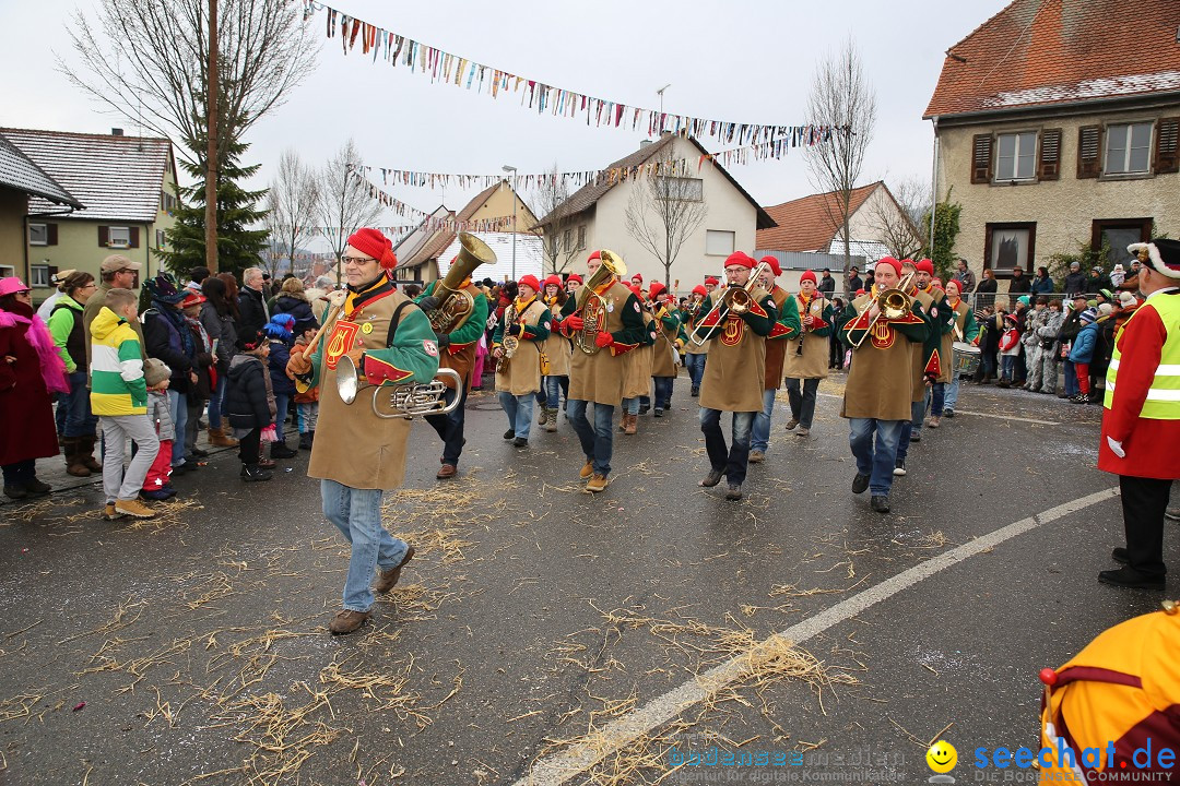 Fasnachtsumzug und Narrentage: Welschingen, 24.01.2016