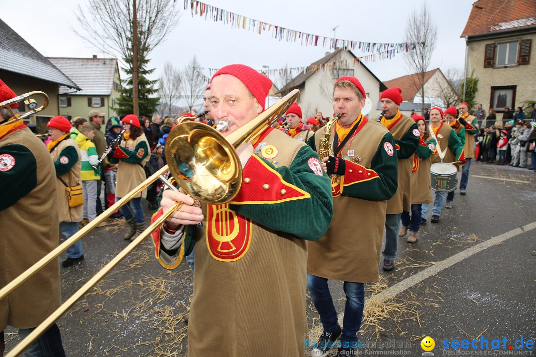 Fasnachtsumzug und Narrentage: Welschingen, 24.01.2016