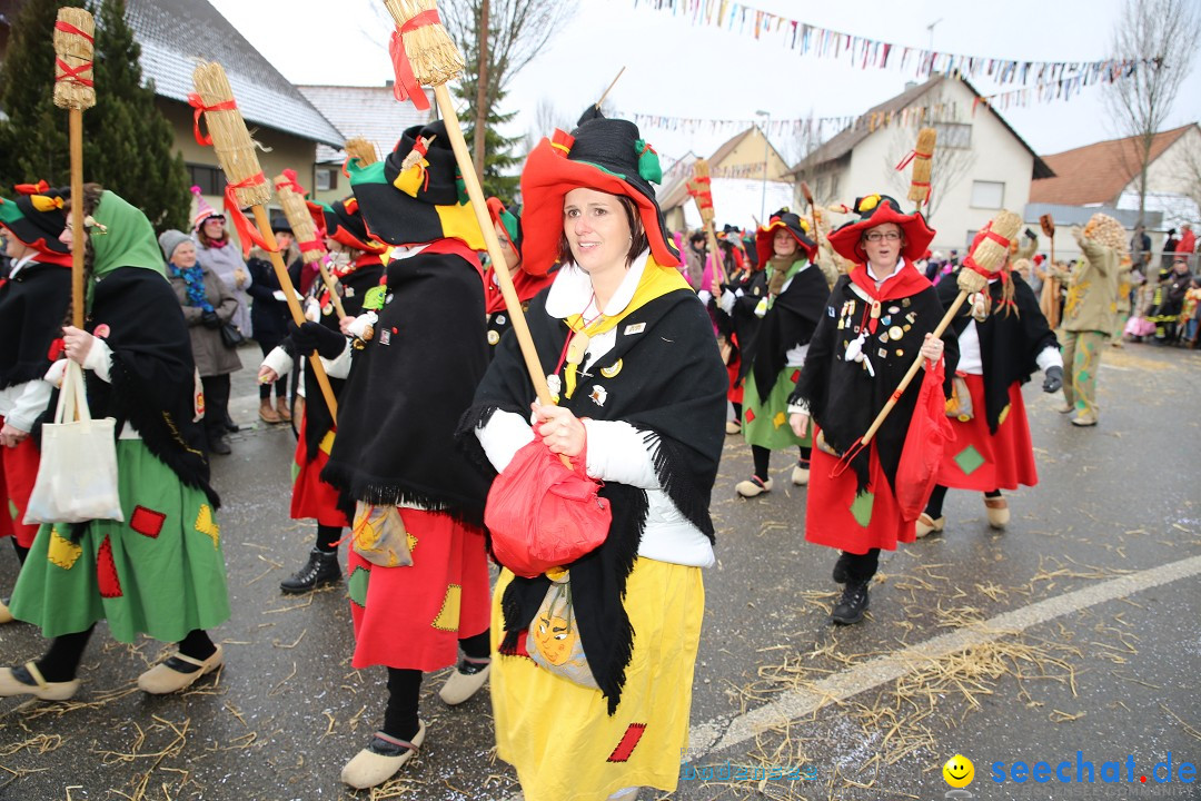 Fasnachtsumzug und Narrentage: Welschingen, 24.01.2016