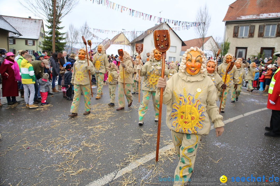 Fasnachtsumzug und Narrentage: Welschingen, 24.01.2016