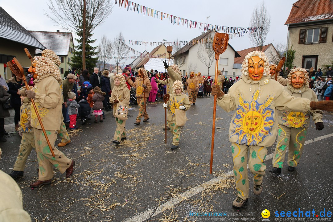 Fasnachtsumzug und Narrentage: Welschingen, 24.01.2016