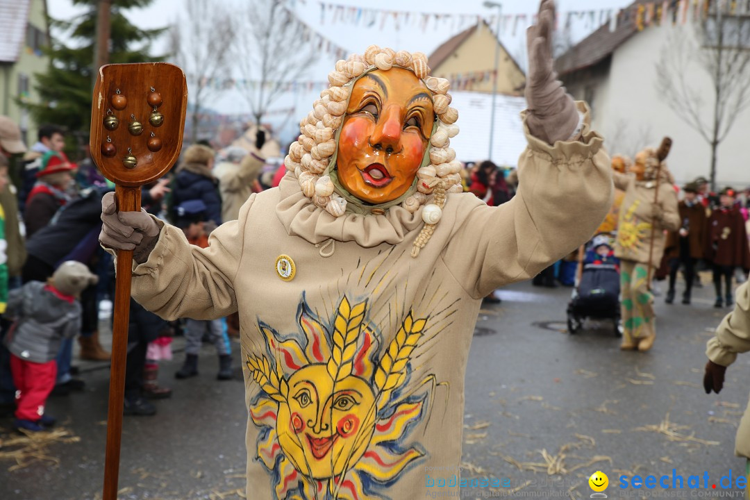 Fasnachtsumzug und Narrentage: Welschingen, 24.01.2016