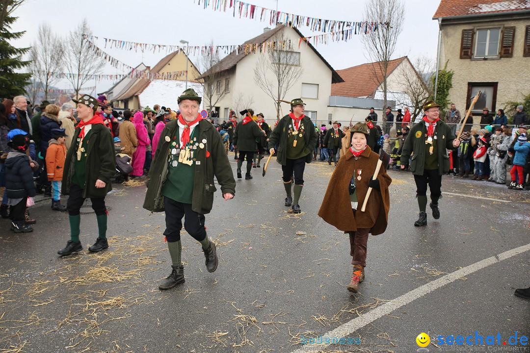 Fasnachtsumzug und Narrentage: Welschingen, 24.01.2016