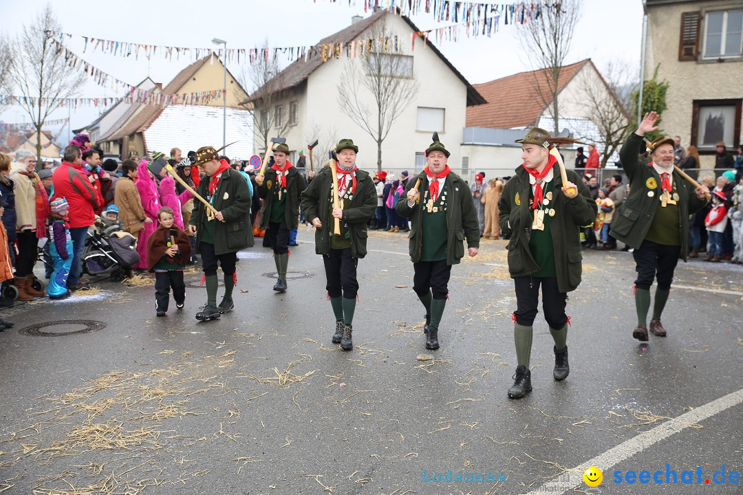 Fasnachtsumzug und Narrentage: Welschingen, 24.01.2016