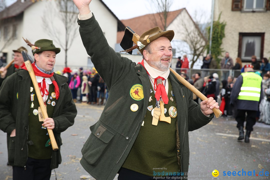 Fasnachtsumzug und Narrentage: Welschingen, 24.01.2016