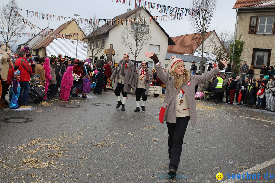 Fasnachtsumzug und Narrentage: Welschingen, 24.01.2016