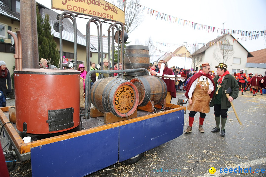 Fasnachtsumzug und Narrentage: Welschingen, 24.01.2016