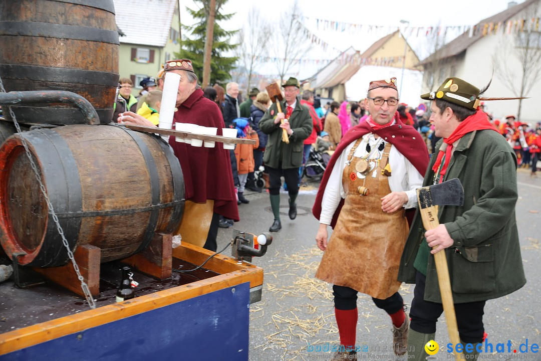 Fasnachtsumzug und Narrentage: Welschingen, 24.01.2016