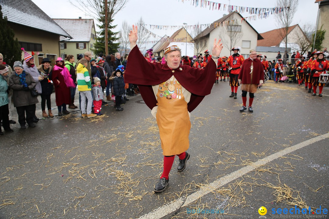 Fasnachtsumzug und Narrentage: Welschingen, 24.01.2016