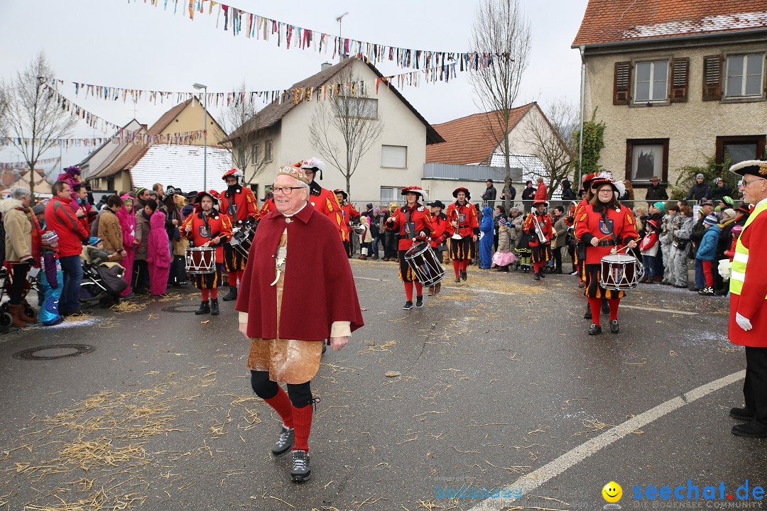 Fasnachtsumzug und Narrentage: Welschingen, 24.01.2016