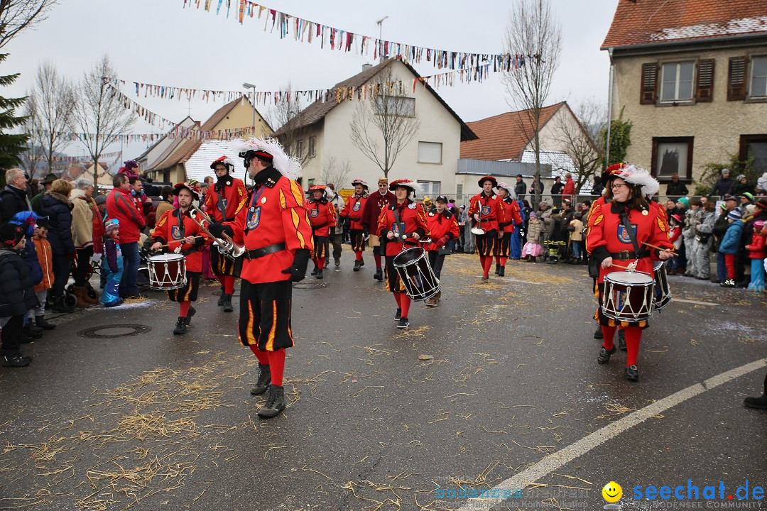 Fasnachtsumzug und Narrentage: Welschingen, 24.01.2016